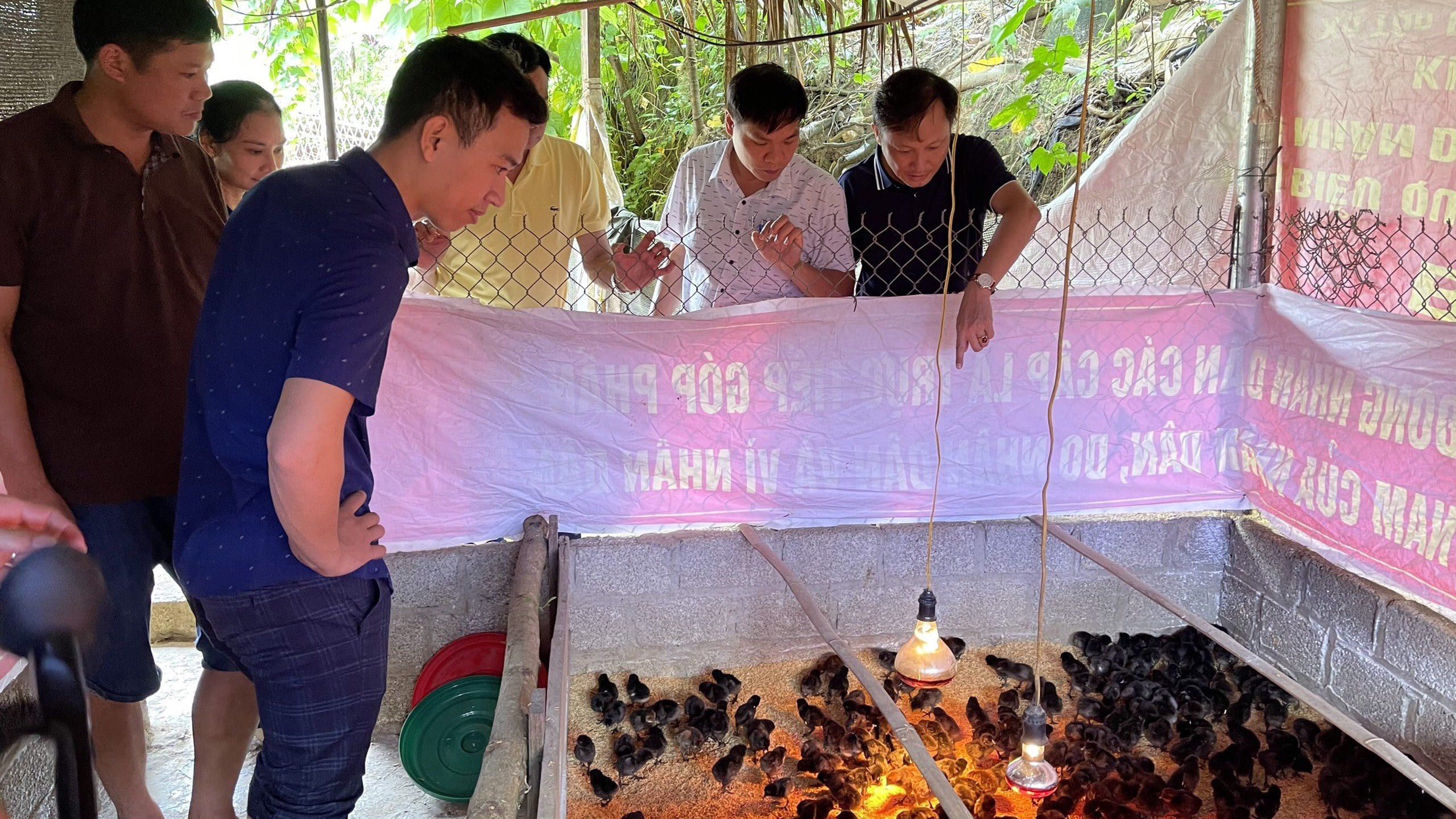 Tham gia đồng hành giúp dân thoát nghèo tại xã vùng cao Tân Phượng, huyện Lục Yên