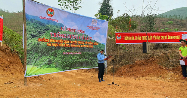 Quỹ Bảo vệ và phát triển rừng tỉnh Yên Bái tham gia lễ phát động trồng rừng gỗ lớn